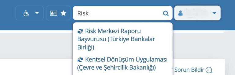 E Devlet Üzerinden Kredi Notu Öğrenme ve Risk Raporu Almak